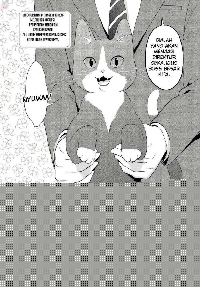 The Black Cat Who Became The Director