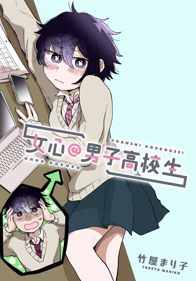 Girl's Heart High School Boy