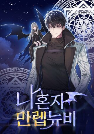 Solo Max-Level Newbie (Novel)