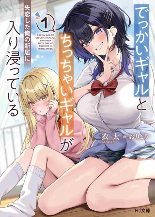 Dekkai Gyaru to Chicchai Gyaru ga Shitsuren Shita Ore no Shinkyo ni Iribitatteiru